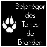 [- Belph�gor -]